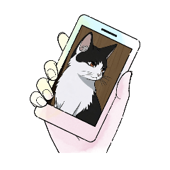 Meow Pong Pong cat