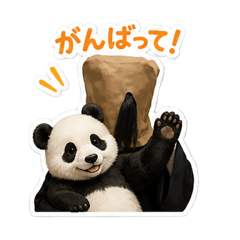 Danou_20260430001623