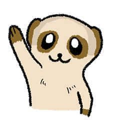 The Carefree Meerkat