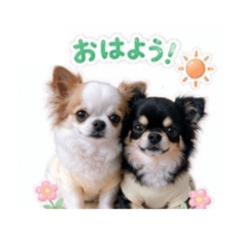uchunoko_20260430003328