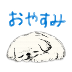 no-ka_20260430091819