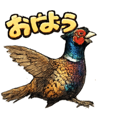 CHAO_20260430055548
