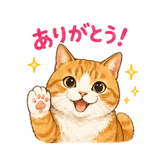 Tabby, the tabby cat