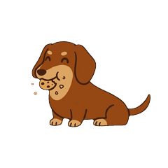 迷你臘腸犬 心情 - AG