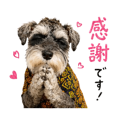 mao_20260430120601