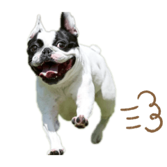 ai_20260430155418