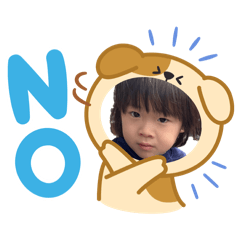 ryokami_20260430063951