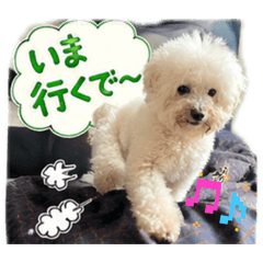Kumao_0505