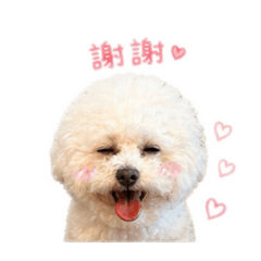可愛的弟迪