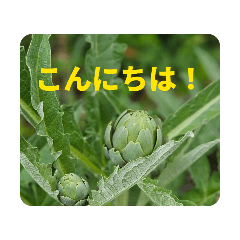 red-yosi_20260430110246