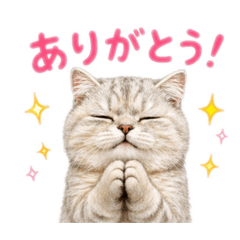Yomuchan_20260430110433