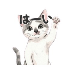 hachiware_everyday