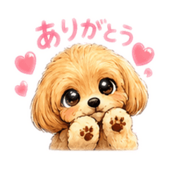 RAIRAI_20260430122257