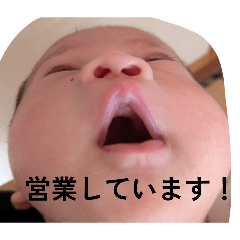 haru_20260430123042