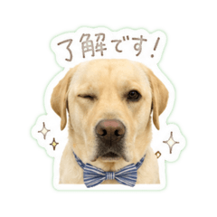TGYpapa_20260430130316