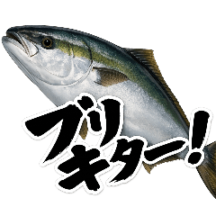 mitsu_20260430143950