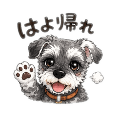 kouuudaai_20260430174611