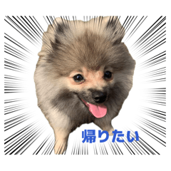 kantoku_20260430174831