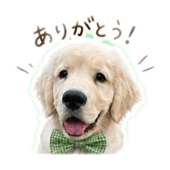 4kids_20260430133752