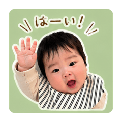 favorite dog uru_20260430133852