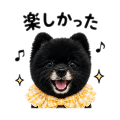 BLACKPOM
