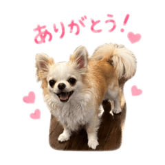 @SYUICHI