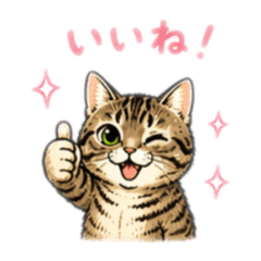 omame_cat_game