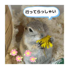 momo_20260430183725