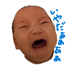 ayakoman_20260430183717
