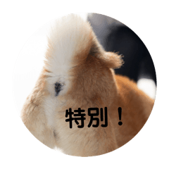 Kana_20260430183226