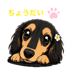 yoppy14_20260430135620