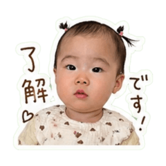 miyazawa_20260430135722