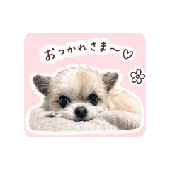 mimi_20260430140140