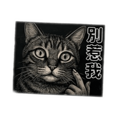我們的幸福貓生：虎斑&賓士的雙倍可愛