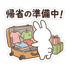 bunny lab 12