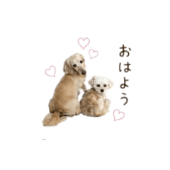 dai1125_20260430172520