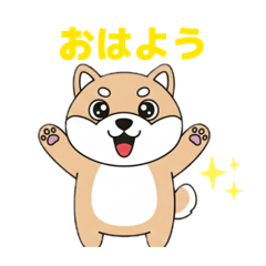 popo_20260430172616