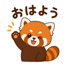 Very Cute and fluffy red panda