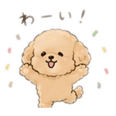 hikou_20260430171239