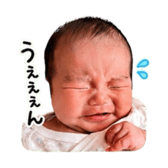 kotoha_20260430172446