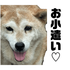 yuuuuuki_20260430173316