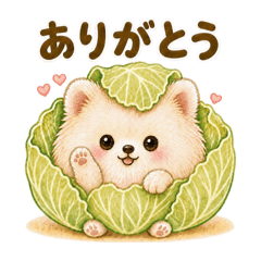 Yozora_20260430172340