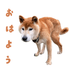 momoziri_20260430174348