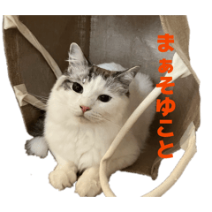 kanta_20260430170354