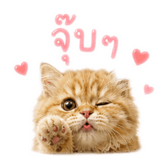 Jel_20260501163038