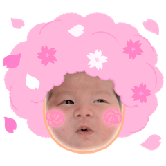 Suzu_20260430184032