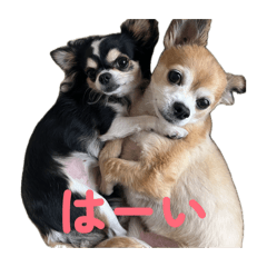 Milky's_20260430184355