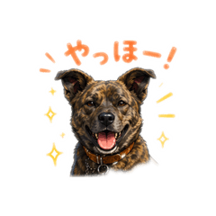 SHIORI_20260430184817