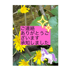 Nekono_20260430185501