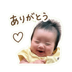 C.Y._20260430184733